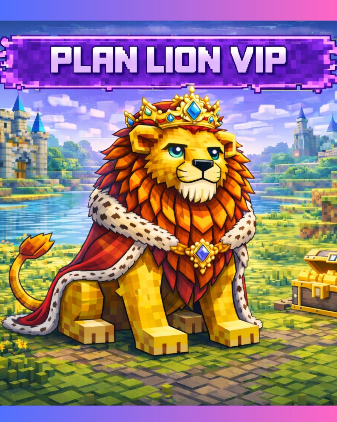 Plan Lion VIP